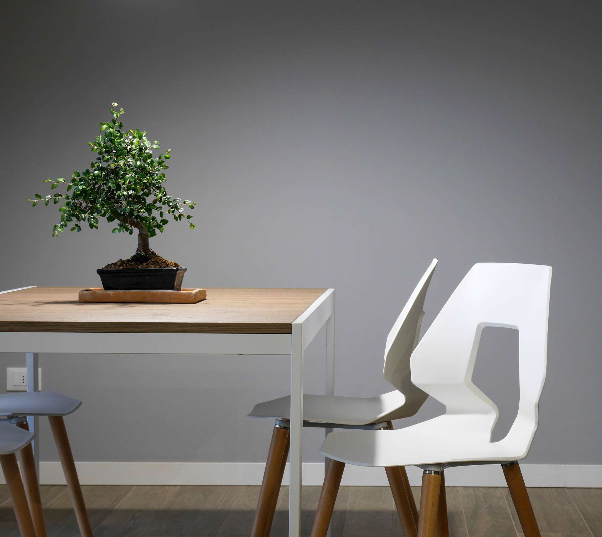 The Design Space Interiors 68 The Design Space Interiors 68